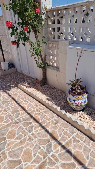 Maison Santa Pola Exterior foto